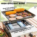 Two Burner Portable Gas Grill