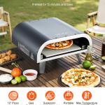 12' Outdoor Pizza Oven Portable Gas Oven Iron Spray  For Camping