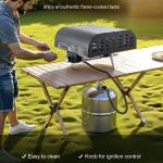 12' Outdoor Pizza Oven Portable Gas Oven Iron Spray  For Camping