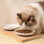 Ceramic Cat Food Bowls Whisker Friendly Cat Bowls With Nonslip Silicone Bottom Cat Food Dishes For Food And Water Cat Food Dishes Wide Shallow Small Cat Plates For Cats Kitten Small Dogs